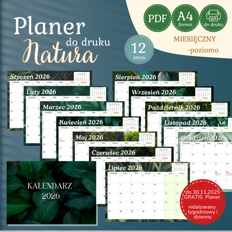 grafika strona (18).png